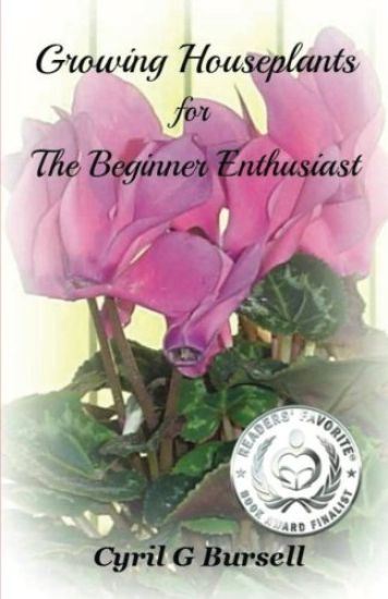 Growing Houseplants for The Beginner Enthusiast