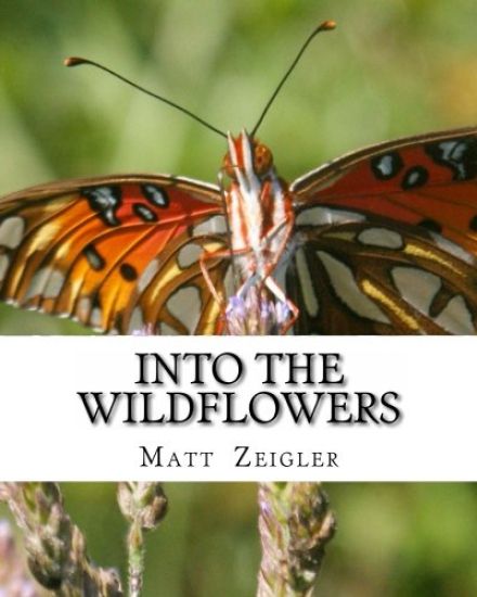 Into The Wildflowers