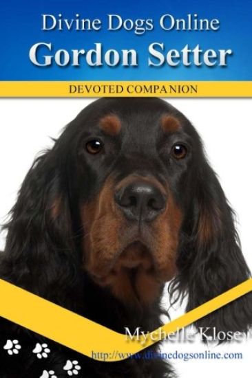 Gordon Setters: Divine Dogs Online