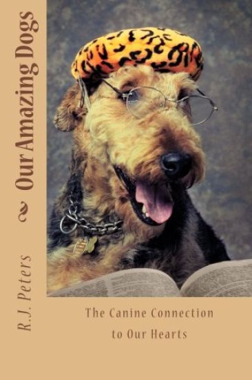 Our Amazing Dogs: The Canine Connection to Our Hearts