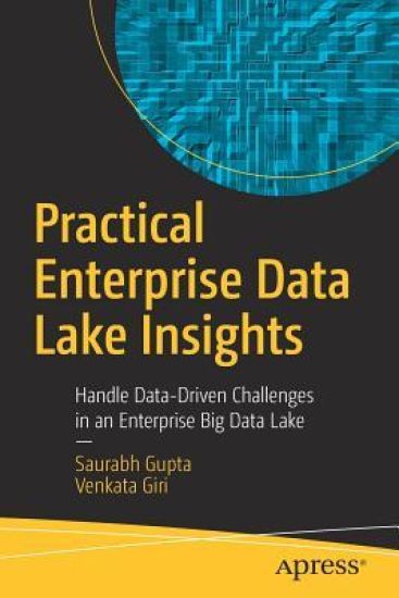 Practical Enterprise Data Lake Insights