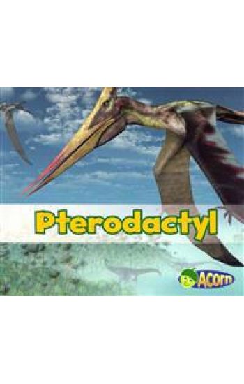 Pterodactyl