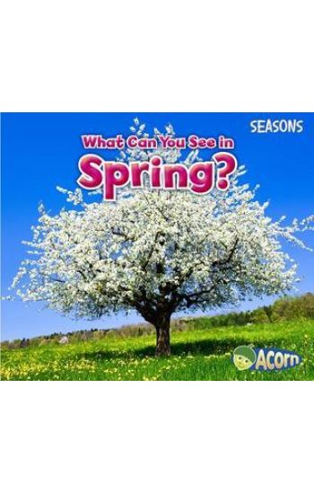 What Can You See in Spring?