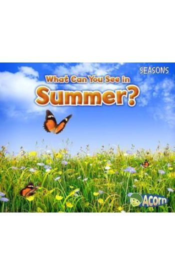 What Can You See in Summer?
