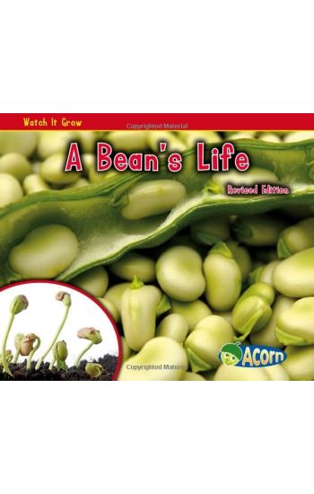 A Bean's Life