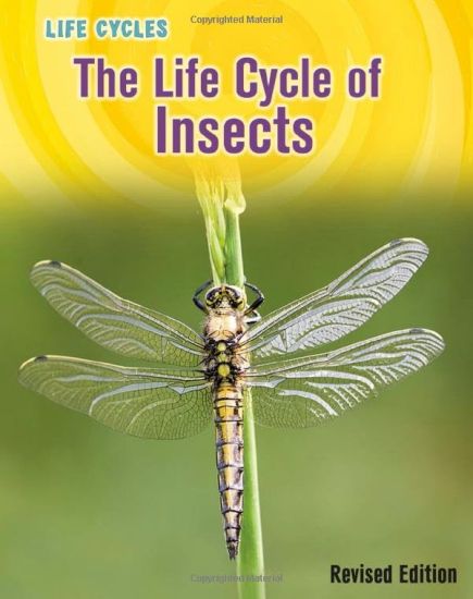 The Life Cycle of Insects