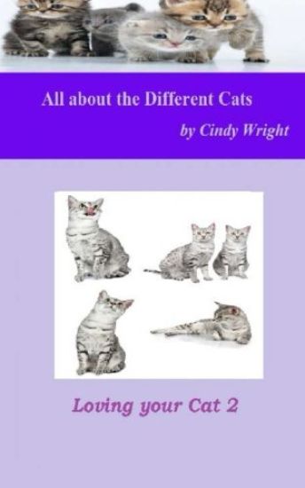 All about the Different Cats
