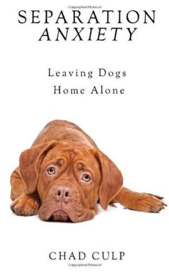 Separation Anxiety: Leaving Dogs Home Alone