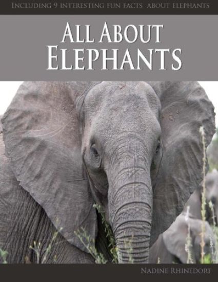 All About Elephants