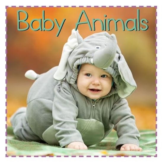 Baby Animals