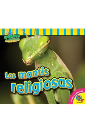 Las Mantis Religiosas