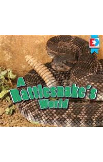 A Rattlesnake's World