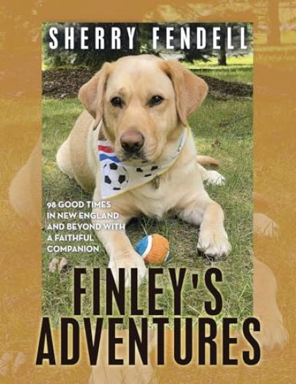 Finley's Adventures