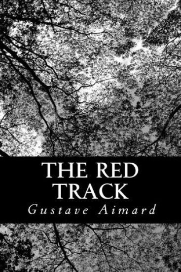 The Red Track: A Story of Social Life in Mexico