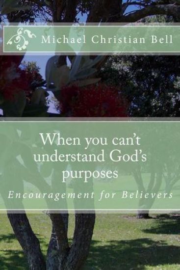 When you can't understand God's purposes
