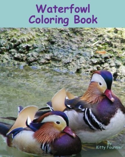 Waterfowl Coloring Book