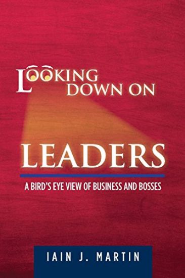 Looking Down On Leaders: a bird's eye view of business and bosses
