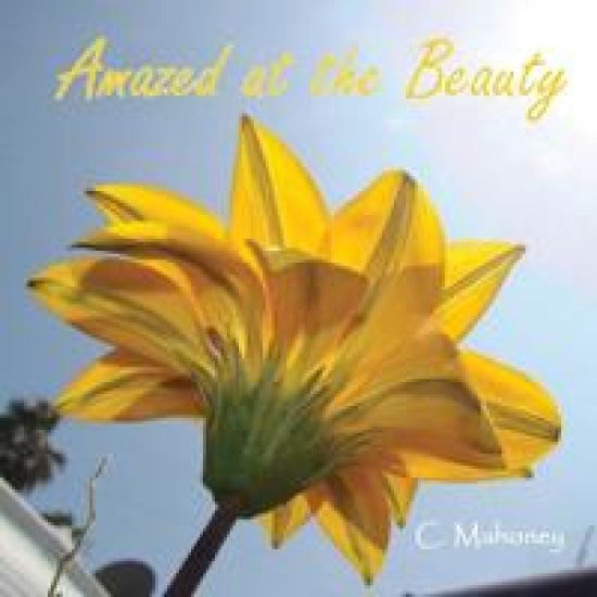 Amazed at the Beauty