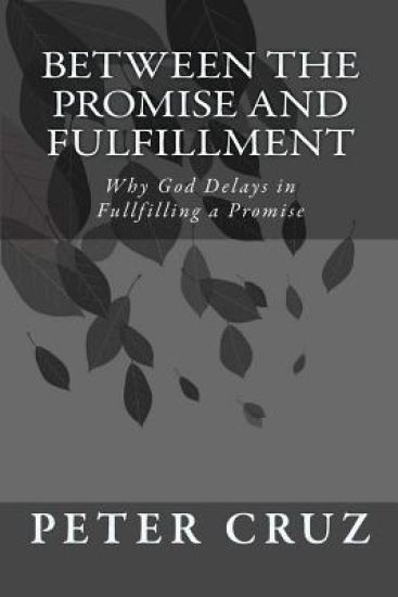Between the Promise and Fulfillment: Why God Delays in Fullfilling a Promise