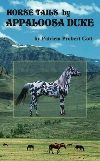 Horse Tails by Appaloosa Duke