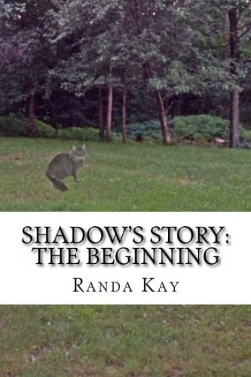 Shadow's Story: The Beginning