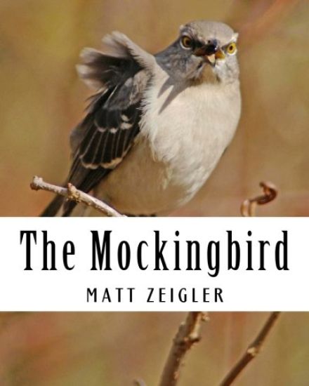 The Mockingbird
