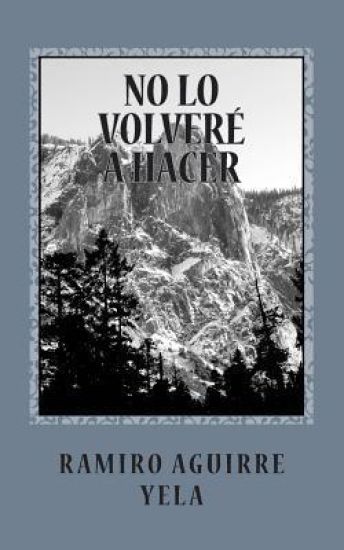 No lo volveré hacer