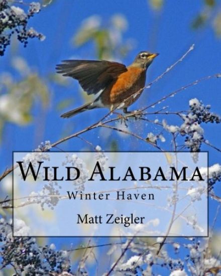 Wild Alabama: Winter Haven