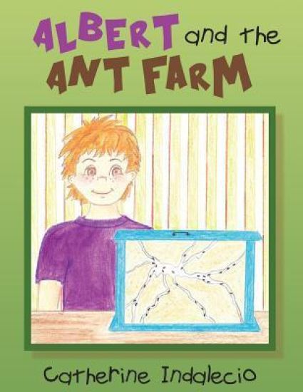 Albert and the Ant Farm