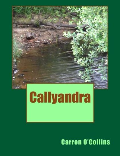 Callyandra