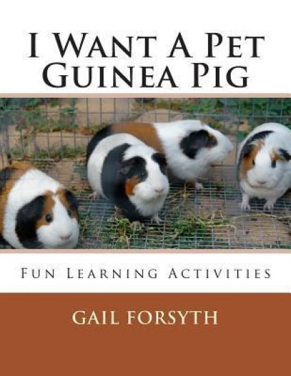 I Want A Pet Guinea Pig: Fun Learning Activities