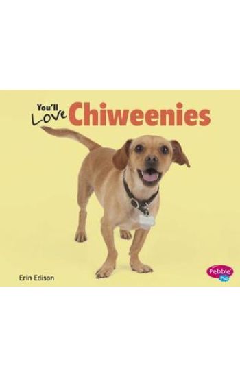 You'll Love Chiweenies