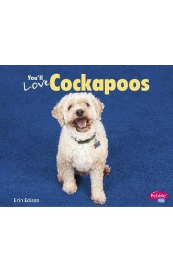 You'll Love Cockapoos