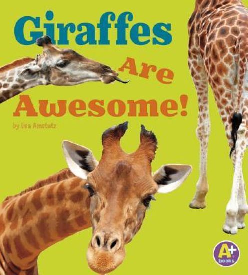 Awesome African Animals Giraffes are Awesome