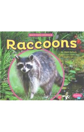 Raccoons