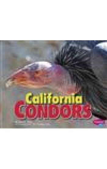 California Condors