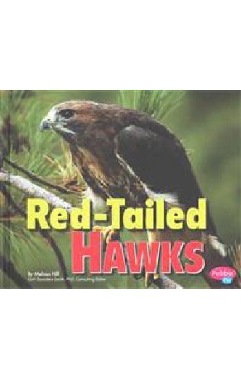 Red-Tailed Hawks
