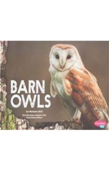 Barn Owls