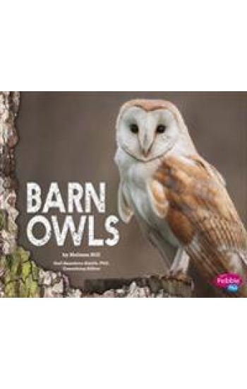 Barn Owls