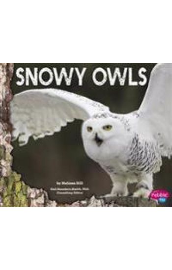 Snowy Owls