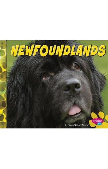 Newfoundlands