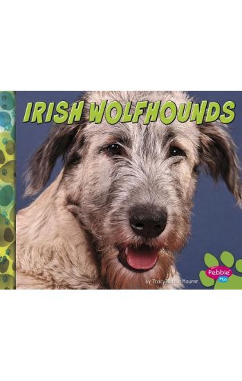 Irish Wolfhounds