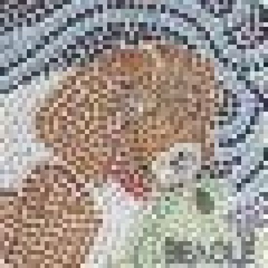 The Beagle and the Brain Tumor