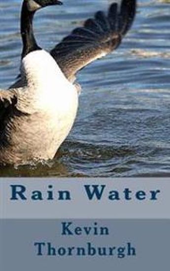 Rain Water: poetry