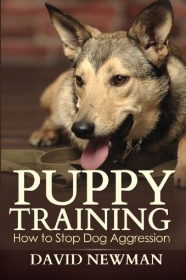 Puppy Training: How to Stop Dog Aggression