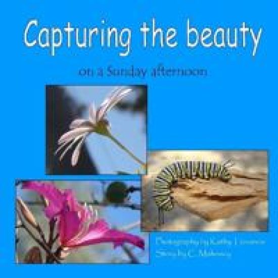 Capturing the beauty
