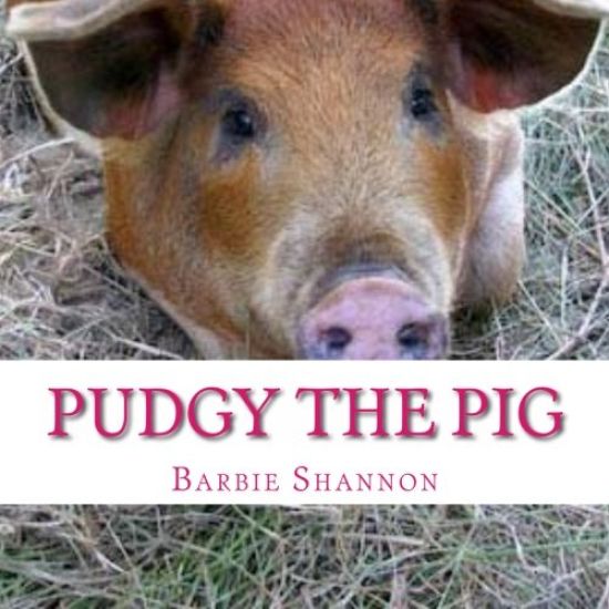 Pudgy The Pig