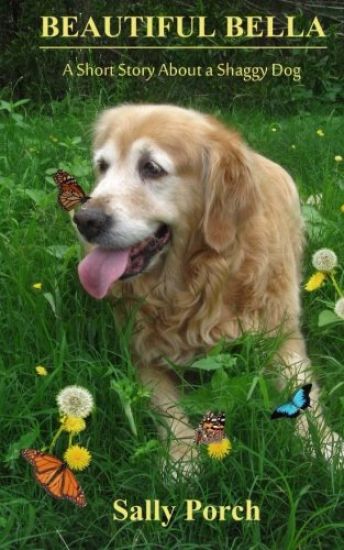 Beautiful Bella: A Short Story About a Shaggy Dog