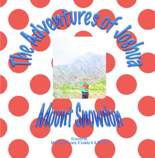 The Adventures of Joshua Mount Snowdon: Mt Snowdon