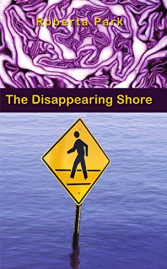 The Disappearing Shore